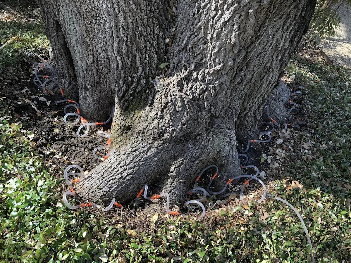 Detailed Shrub and Hedge Trimming job site in Chidester