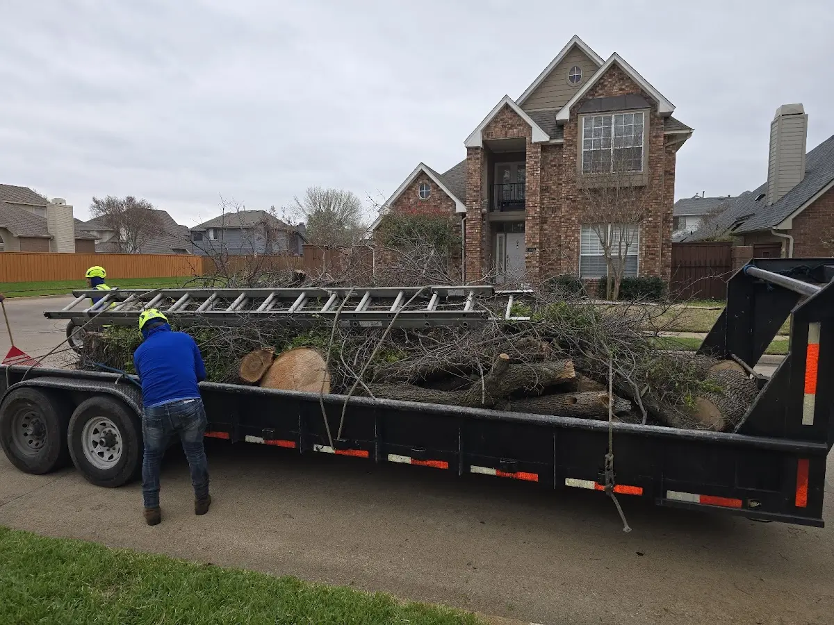 Expert Tree Fertilization with proper safety equipment in Chidester